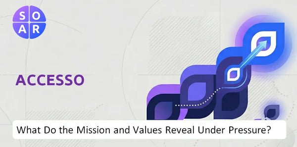 Who Owns accesso Company and Where Are the Ownership Risks?