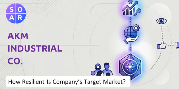 How Resilient Is AKM Industrial Co. Company's Target Market and Customer Base?