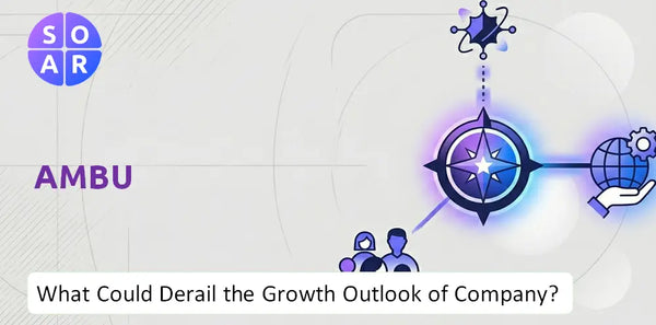 What Could Derail the Growth Outlook of Ambu Company?