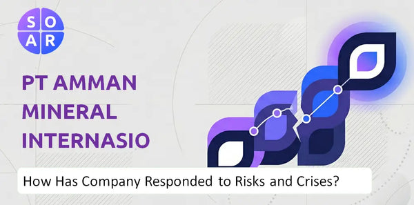 How Has PT Amman Mineral Internasional Company Responded to Risks and Crises Over Time?