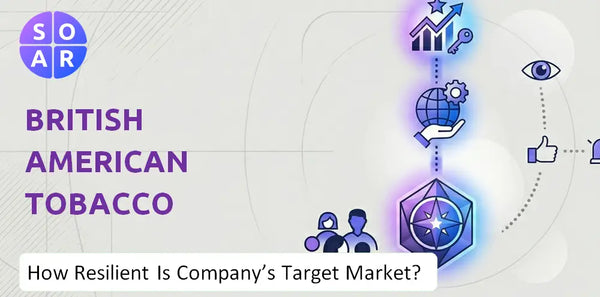How Resilient Is British American Tobacco Company's Target Market and Customer Base?