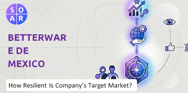 How Resilient Is Betterware de Mexico Company's Target Market and Customer Base?