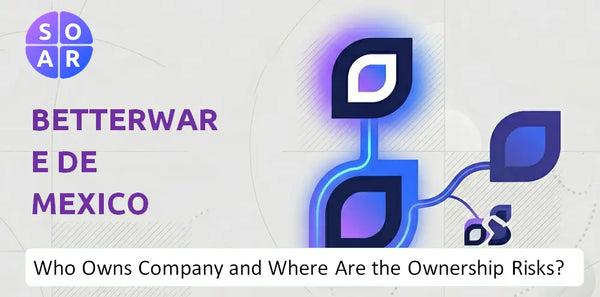 What Do the Mission, Vision, and Values of Betterware de Mexico Company Reveal Under Pressure?