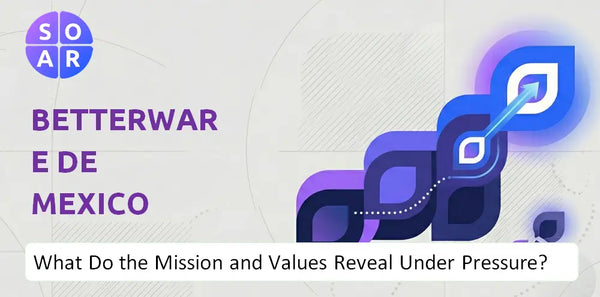 Who Owns Betterware de Mexico Company and Where Are the Ownership Risks?