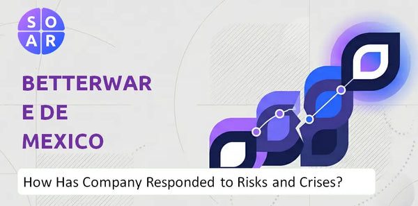 How Has Betterware de Mexico Company Responded to Risks and Crises Over Time?