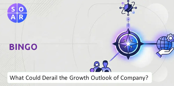 What Could Derail the Growth Outlook of BINGO Company?