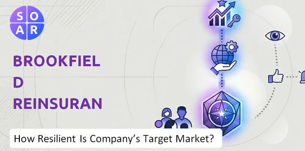 How Resilient Is Brookfield Reinsurance Company's Target Market and Customer Base?