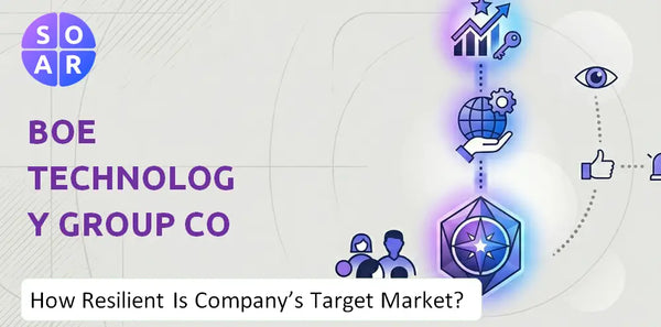 How Resilient Is BOE Technology Group Co Company's Target Market and Customer Base?