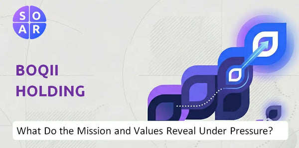 Who Owns Boqii Holding Company and Where Are the Ownership Risks?
