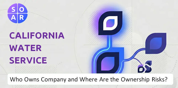 What Do the Mission, Vision, and Values of California Water Service Group Company Reveal Under Pressure?