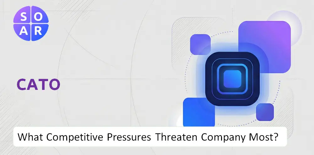 Catofashions Company Competitive Pressures