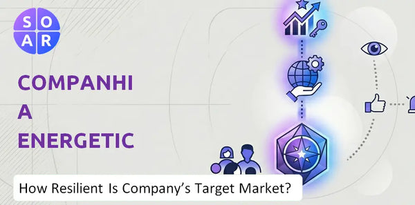 How Resilient Is Companhia Energetica de Minas Gerais Company's Target Market and Customer Base?
