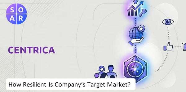 How Resilient Is Centrica Company's Target Market and Customer Base?