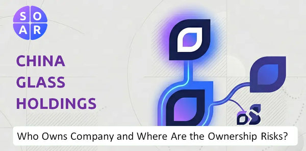 What Do the Mission, Vision, and Values of China Glass Holdings Company Reveal Under Pressure?