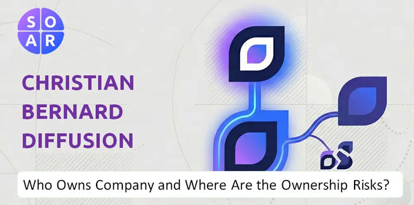 What Do the Mission, Vision, and Values of Christian Bernard Diffusion SA Company Reveal Under Pressure?