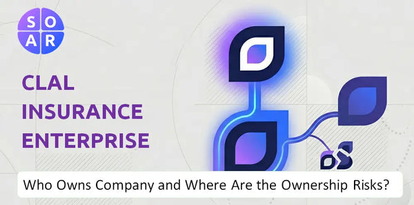 What Do the Mission, Vision, and Values of Clal Insurance Enterprises Company Reveal Under Pressure?