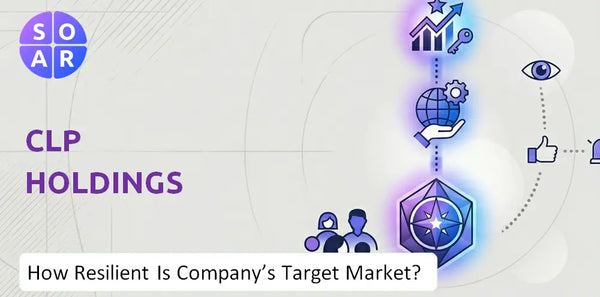 How Resilient Is CLP Holdings Company's Target Market and Customer Base?