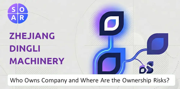 What Do the Mission, Vision, and Values of Zhejiang Dingli Machinery Company Reveal Under Pressure?