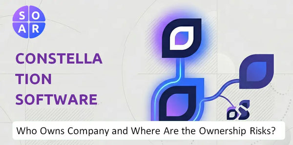 What Do the Mission, Vision, and Values of Constellation Software Company Reveal Under Pressure?