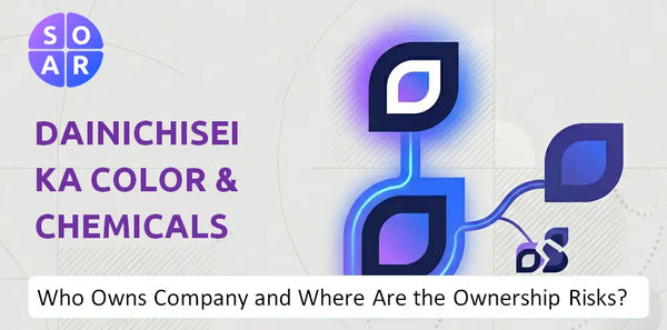 What Do the Mission, Vision, and Values of Dainichiseika Color & Chemicals Mfg Company Reveal Under Pressure?