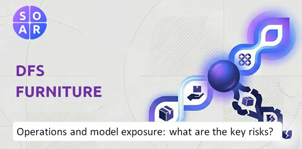 How Does DFS Furniture Company Work and Where Is Its Business Model Most Exposed?
