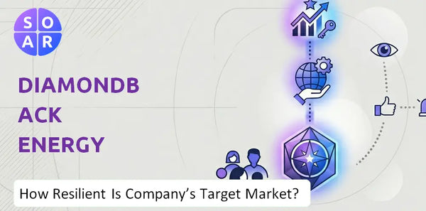 How Resilient Is Diamondback Energy Company's Target Market and Customer Base?
