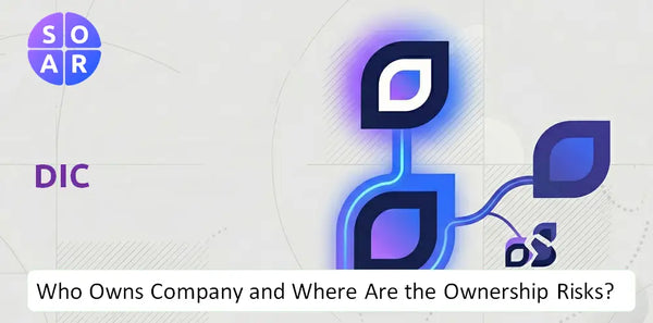 What Do the Mission, Vision, and Values of DIC Company Reveal Under Pressure?