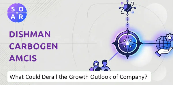 What Could Derail the Growth Outlook of Dishman Carbogen Amcis Company?