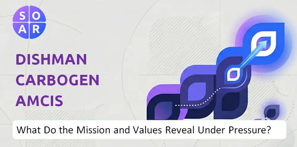 Who Owns Dishman Carbogen Amcis Company and Where Are the Ownership Risks?