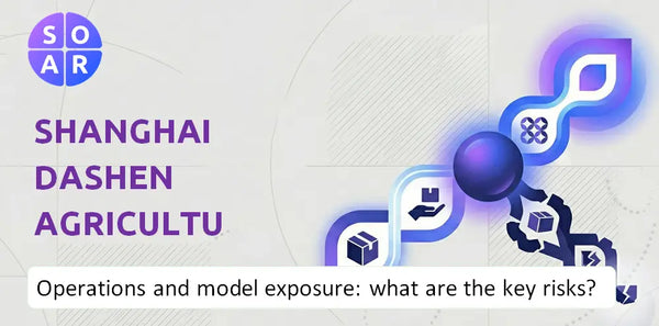 How Does Shanghai Dashen Agriculture Finance Technology Company Work and Where Is Its Business Model Most Exposed?