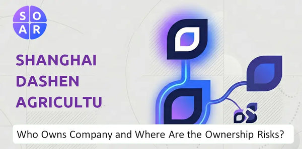 What Do the Mission, Vision, and Values of Shanghai Dashen Agriculture Finance Technology Company Reveal Under Pressure?