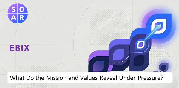 Who Owns Ebix Company and Where Are the Ownership Risks?