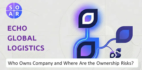 What Do the Mission, Vision, and Values of Echo Global Logistics Company Reveal Under Pressure?
