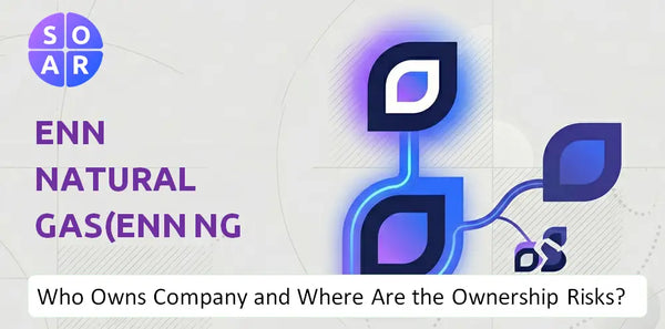 What Do the Mission, Vision, and Values of ENN Natural Gas(ENN NG ) Company Reveal Under Pressure?