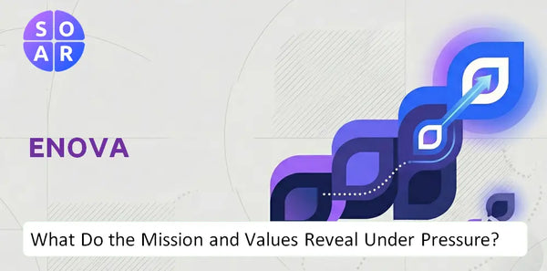 Who Owns Enova Company and Where Are the Ownership Risks?