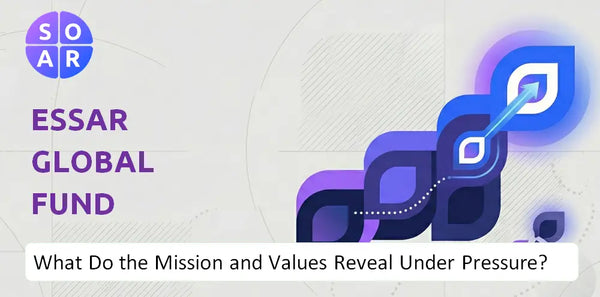 Who Owns Essar Global Fund Limited Company and Where Are the Ownership Risks?