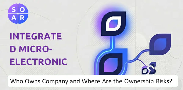 What Do the Mission, Vision, and Values of Integrated Micro-Electronics Company Reveal Under Pressure?
