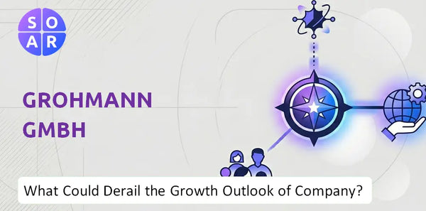 What Could Derail the Growth Outlook of Grohmann GmbH Company?
