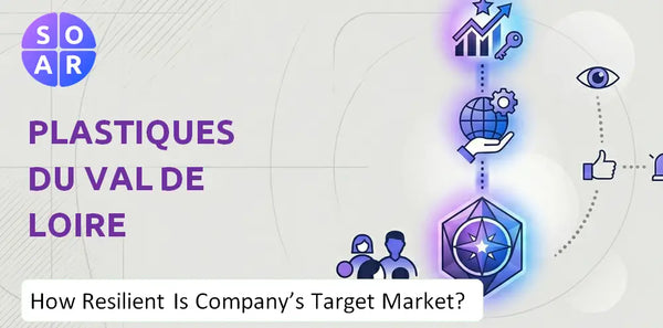How Resilient Is Plastiques du Val de Loire Company's Target Market and Customer Base?