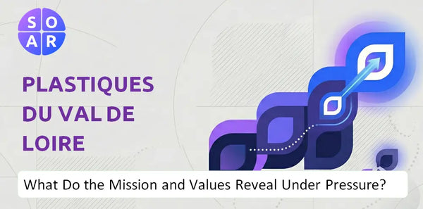 Who Owns Plastiques du Val de Loire Company and Where Are the Ownership Risks?