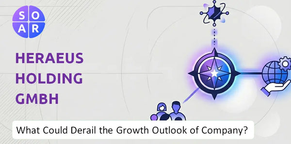 What Could Derail the Growth Outlook of Heraeus Holding GmbH Company?