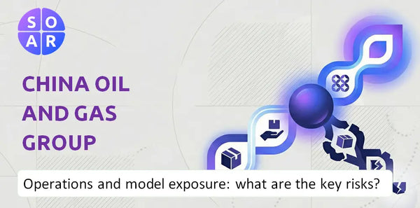 How Does China Oil And Gas Group Company Work and Where Is Its Business Model Most Exposed?