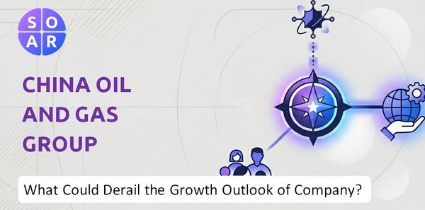 What Could Derail the Growth Outlook of China Oil And Gas Group Company?