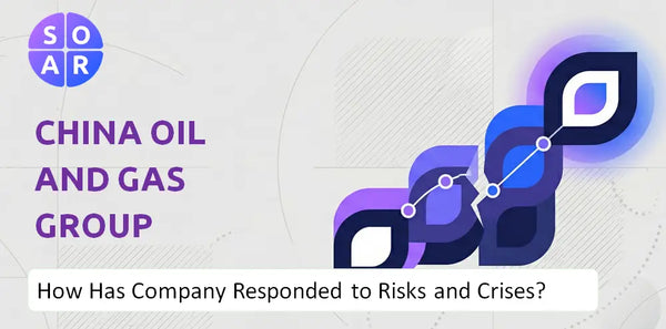 How Has China Oil And Gas Group Company Responded to Risks and Crises Over Time?