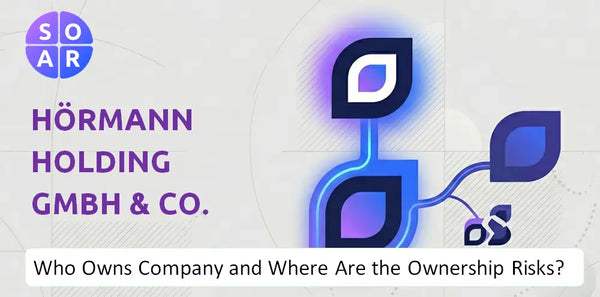 What Do the Mission, Vision, and Values of Hörmann Holding GmbH & Co. KG Company Reveal Under Pressure?