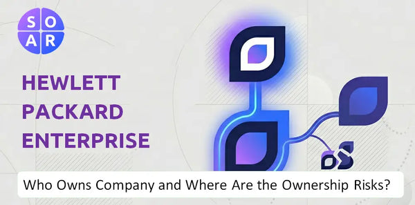 What Do the Mission, Vision, and Values of Hewlett Packard Enterprise Company Reveal Under Pressure?