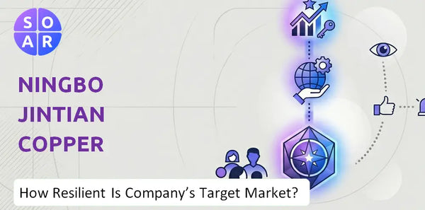 How Resilient Is Ningbo Jintian Copper (Group) Company's Target Market and Customer Base?