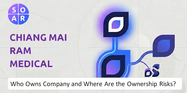 What Do the Mission, Vision, and Values of Chiang Mai Ram Medical Business Company Reveal Under Pressure?