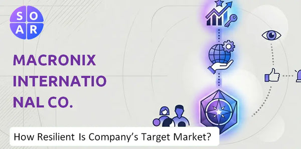 How Resilient Is Macronix International Co. Company's Target Market and Customer Base?