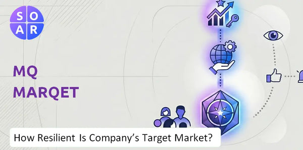 How Resilient Is MQ Marqet Company's Target Market and Customer Base?